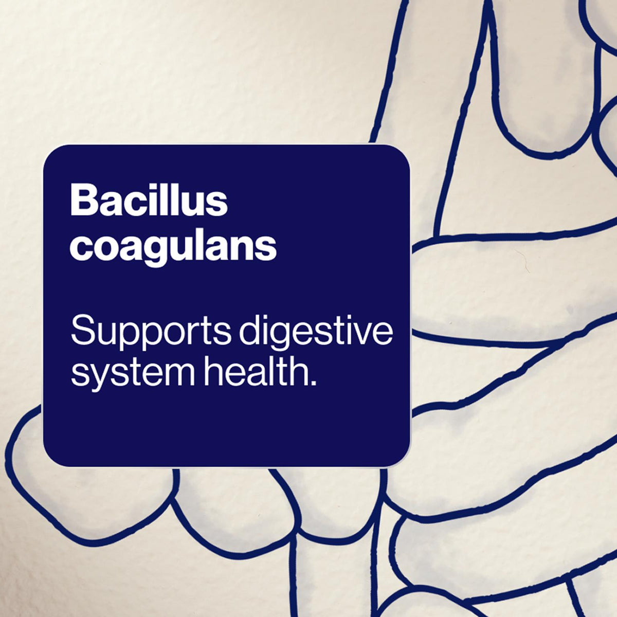 BioCeuticals UltraBiotic Daily Gut Relief digestive support