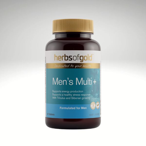 Men’s Multi + by Herbs of Gold, 60 capsules bottle for men’s health support.